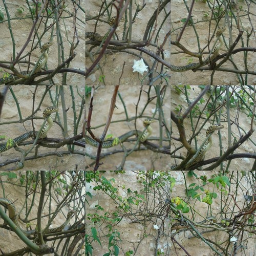 Image hébergée par Casimages.com : votre hébergeur d images simple et gratuit