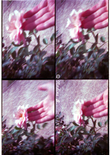 Image hébergée par Casimages.com : votre hébergeur d images simple et gratuit