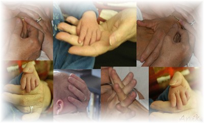 Image hébergée par Casimages.com : votre hébergeur d images simple et gratuit