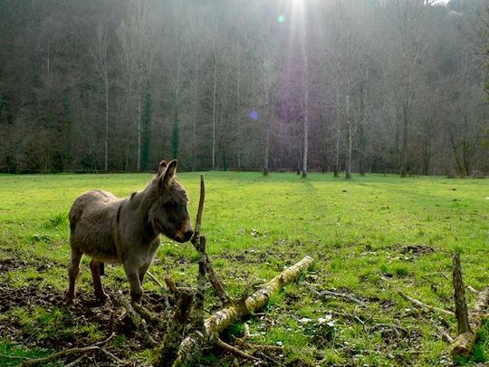Image h&eacute;berg&eacute;e par Casimages.com : votre h&eacute;bergeur d images simple et gratuit