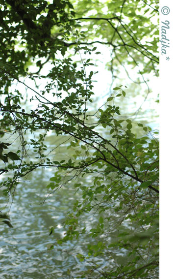 Image hébergée par Casimages.com : votre hébergeur d images simple et gratuit