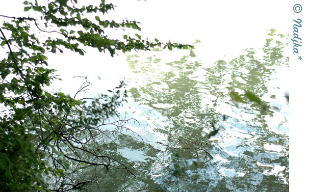 Image hébergée par Casimages.com : votre hébergeur d images simple et gratuit
