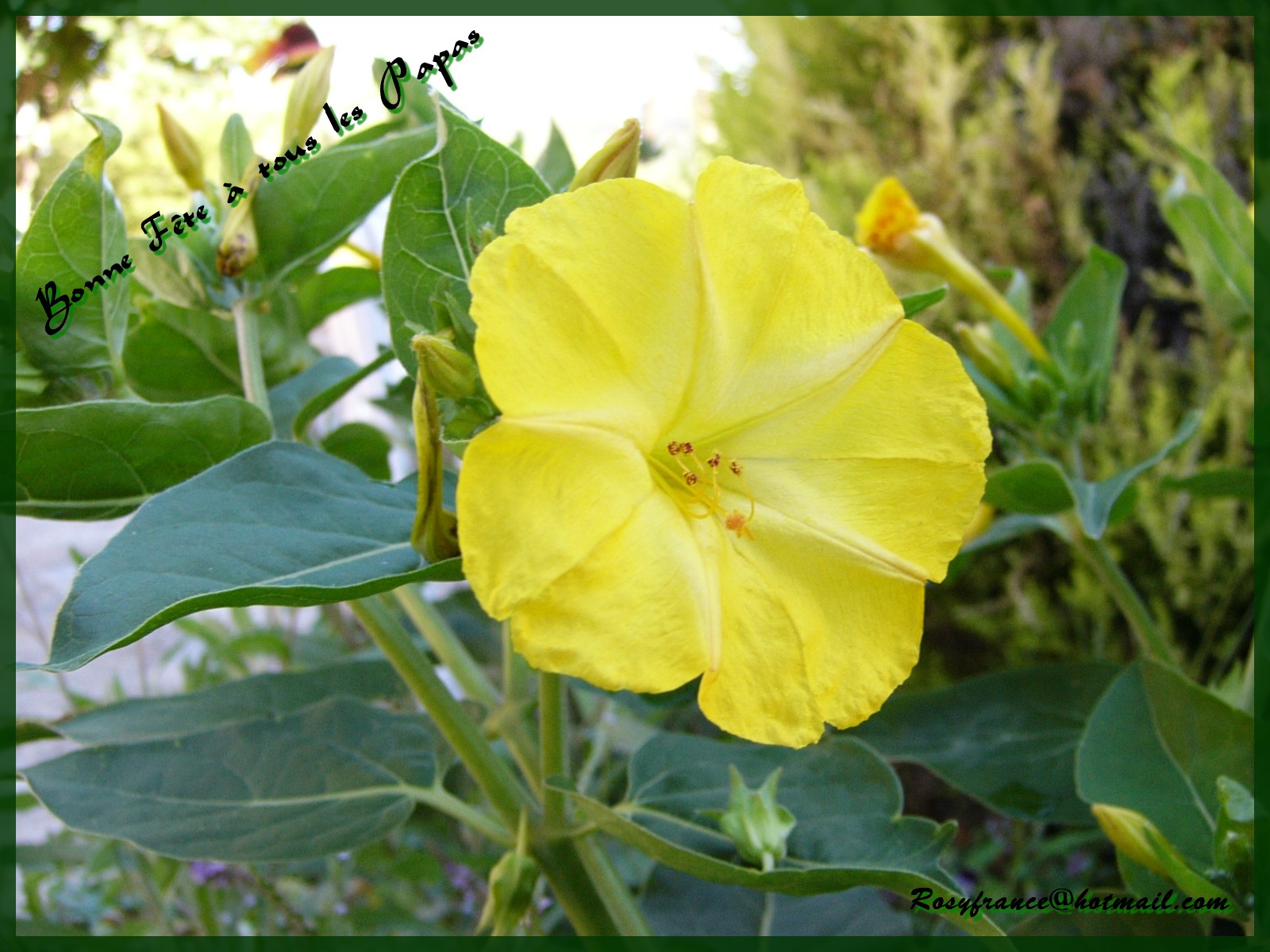 Image hébergée par Casimages.com : votre hébergeur d images simple et gratuit