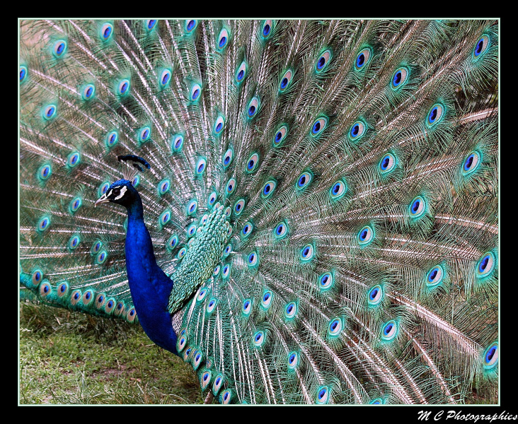 Image hébergée par Casimages.com : votre hébergeur d images simple et gratuit