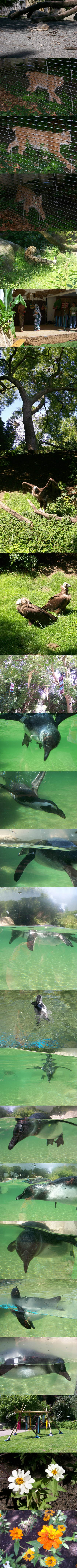 Sortie au Zoo de Mulhouse le 24 juin 2007