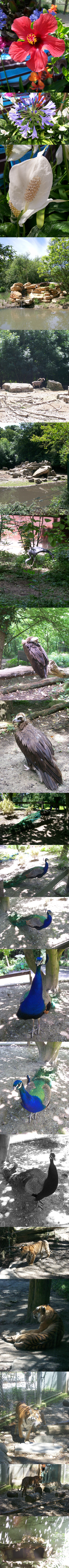 Sortie au Zoo de Mulhouse le 24 juin 2007