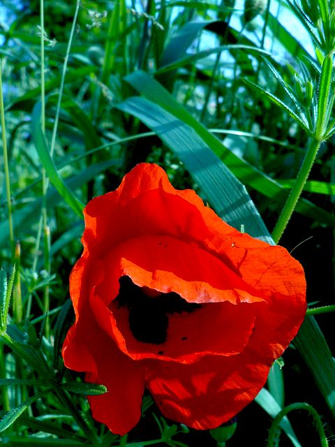 Image hébergée par Casimages.com : votre hébergeur d images simple et gratuit