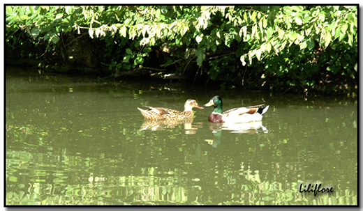 Image hébergée par Casimages.com : votre hébergeur d images simple et gratuit