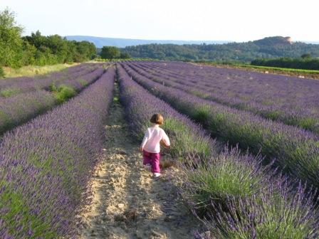 Image hébergée par Casimages.com : votre hébergeur d images simple et gratuit