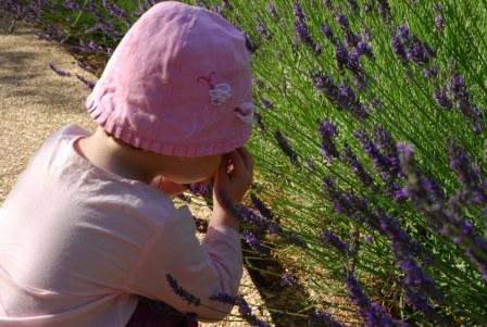 Image hébergée par Casimages.com : votre hébergeur d images simple et gratuit