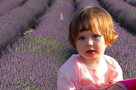 Image hébergée par Casimages.com : votre hébergeur d images simple et gratuit