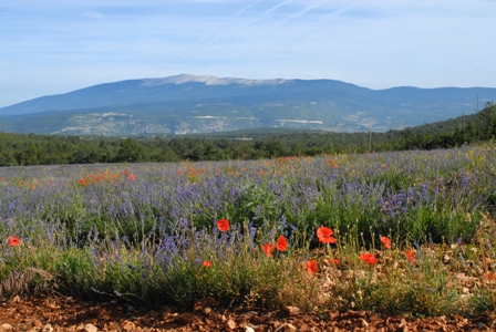 Image hébergée par Casimages.com : votre hébergeur d images simple et gratuit