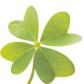 Image h�berg�e par Casimages.com : votre h�bergeur d images simple et gratuit