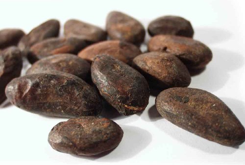 Goinfrez-vous de chocolat, le dicteur a dit oui !