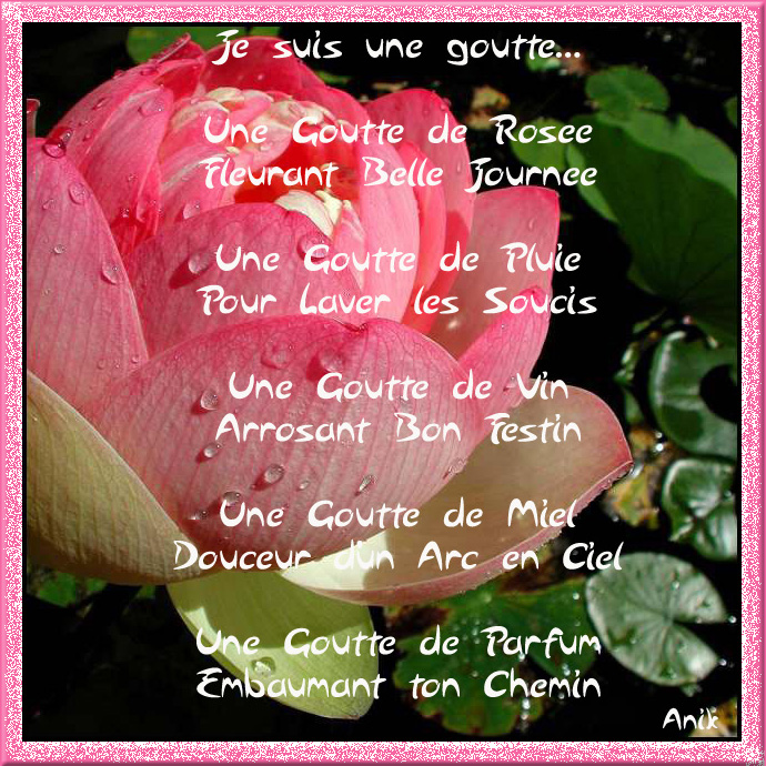 Image hébergée par Casimages.com : votre hébergeur d images simple et gratuit