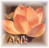 Image hébergée par Casimages.com : votre hébergeur d images simple et gratuit
