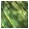 Ce sujet est verrouill�, vous ne pouvez pas �diter les messages ou faire de r�ponses.