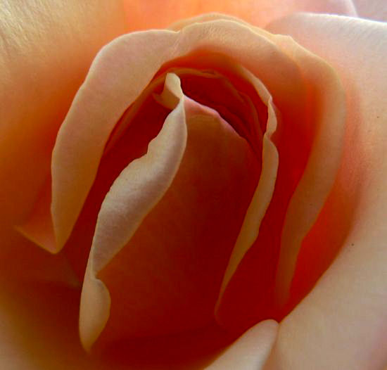 Image hébergée par Casimages.com : votre hébergeur d images simple et gratuit