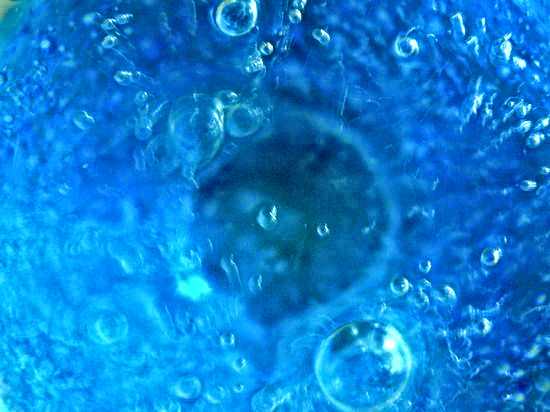 Image hébergée par Casimages.com : votre hébergeur d images simple et gratuit