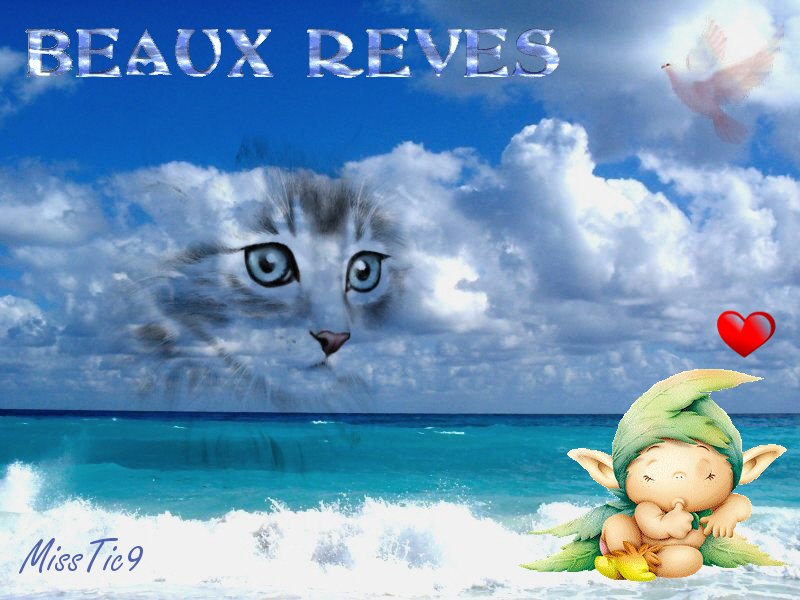 http://www.casimages.com/img/jpg/070729083456928280.jpg