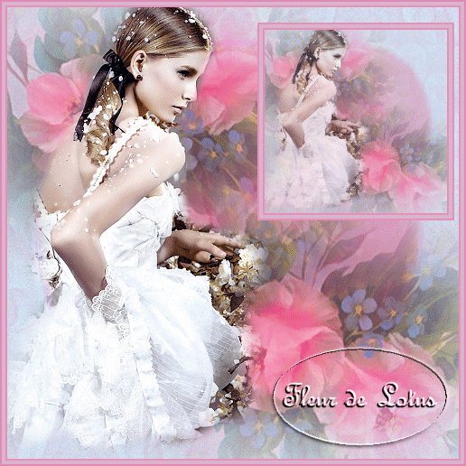 Image hébergée par Casimages.com : votre hébergeur d images simple et gratuit