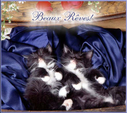 Image hébergée par Casimages.com : votre hébergeur d images simple et gratuit