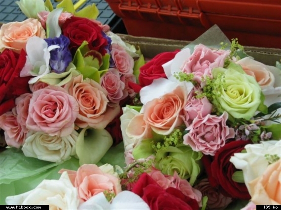 http://www.casimages.com/img/jpg/0708160135021021432.jpg