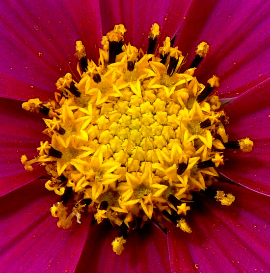 Image hébergée par Casimages.com : votre hébergeur d images simple et gratuit