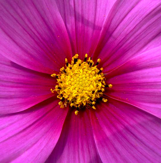 Image hébergée par Casimages.com : votre hébergeur d images simple et gratuit
