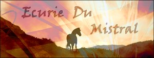 &curren; Ecurie Du Mistral &curren;