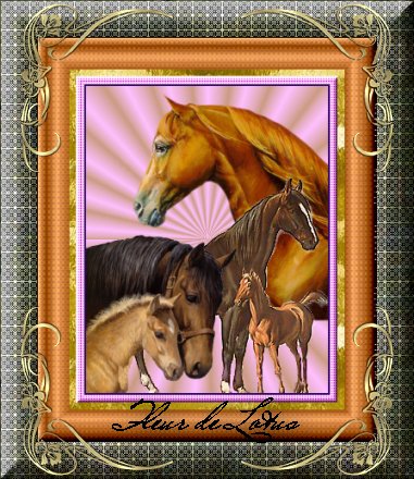 Image hébergée par Casimages.com : votre hébergeur d images simple et gratuit