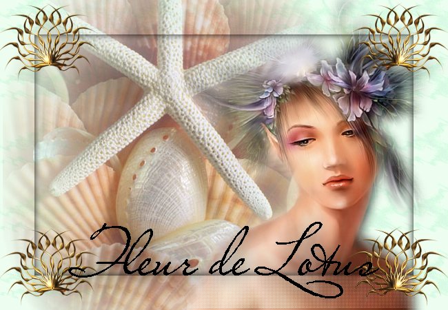 Image hébergée par Casimages.com : votre hébergeur d images simple et gratuit