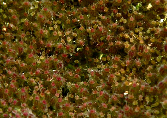 Image hébergée par Casimages.com : votre hébergeur d images simple et gratuit