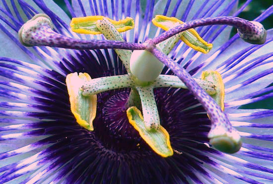 Image hébergée par Casimages.com : votre hébergeur d images simple et gratuit