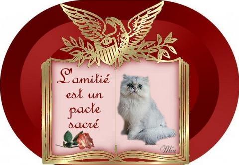 Image hébergée par Casimages.com : votre hébergeur d images simple et gratuit