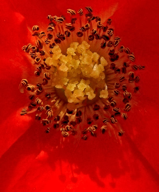 Image hébergée par Casimages.com : votre hébergeur d images simple et gratuit