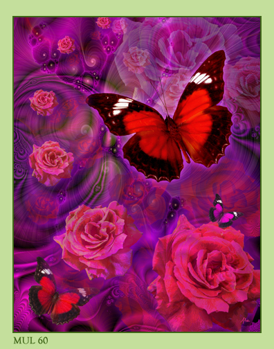 Image hébergée par Casimages.com : votre hébergeur d images simple et gratuit