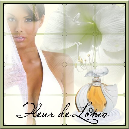 Image hébergée par Casimages.com : votre hébergeur d images simple et gratuit