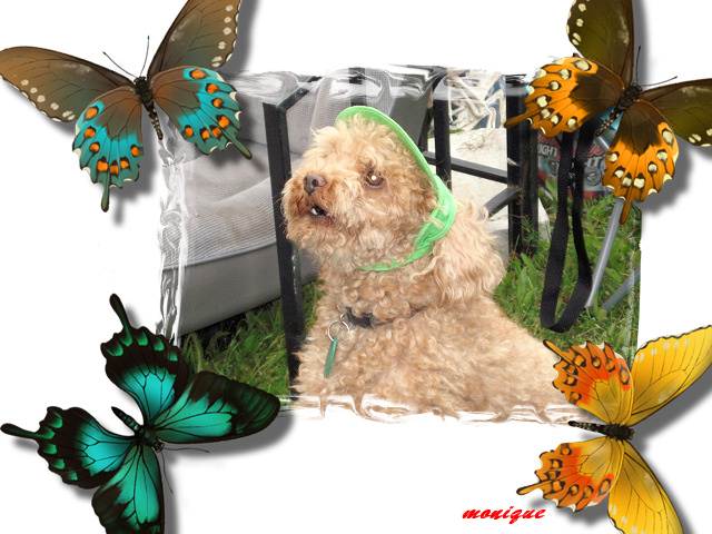 Image h&eacute;berg&eacute;e par Casimages.com : votre h&eacute;bergeur d images simple et gratuit