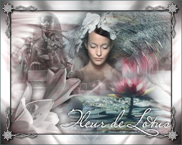 Image hébergée par Casimages.com : votre hébergeur d images simple et gratuit