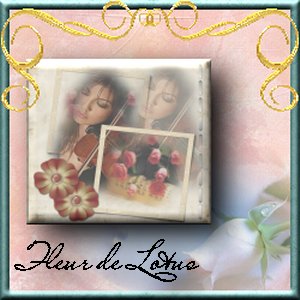 Image hébergée par Casimages.com : votre hébergeur d images simple et gratuit