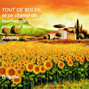 Image hébergée par Casimages.com : votre hébergeur d images simple et gratuit