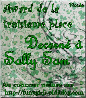 Image hébergée par Casimages.com : votre hébergeur d images simple et gratuit