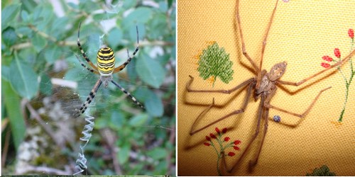 Image hébergée par Casimages.com : votre hébergeur d images simple et gratuit