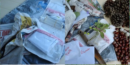 Image hébergée par Casimages.com : votre hébergeur d images simple et gratuit