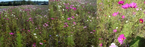 Image hébergée par Casimages.com : votre hébergeur d images simple et gratuit