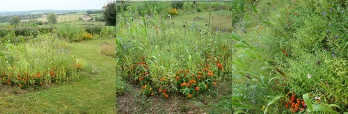 Image hébergée par Casimages.com : votre hébergeur d images simple et gratuit