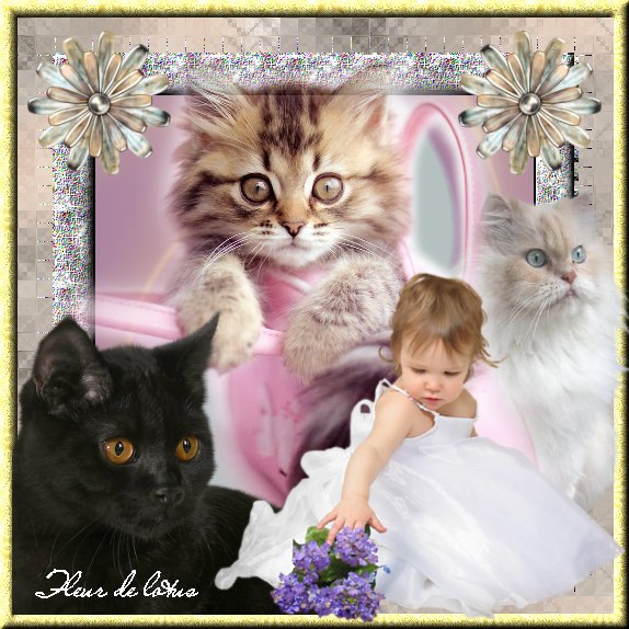 Image hébergée par Casimages.com : votre hébergeur d images simple et gratuit
