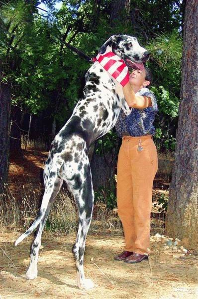 http://www.casimages.com/img/jpg/0709111239551206991.jpg