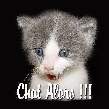 Image hébergée par Casimages.com : votre hébergeur d images simple et gratuit
